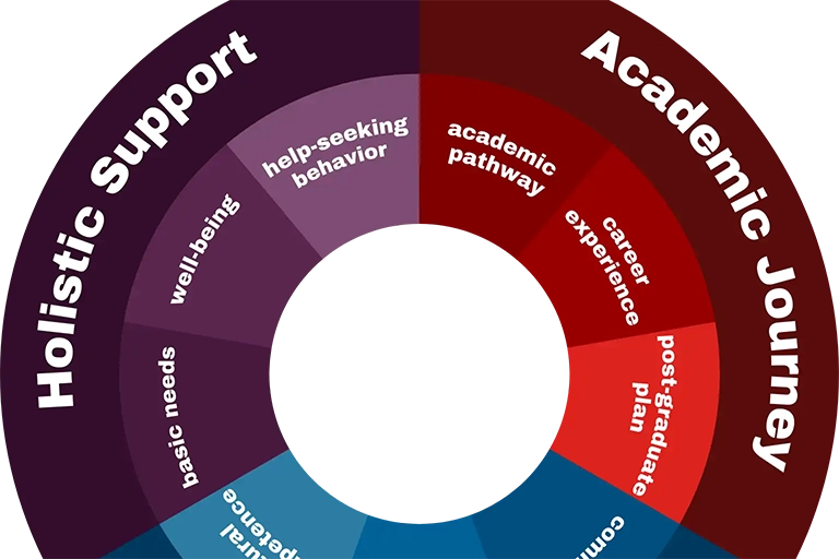A preview of the pie chart from the Framework page.